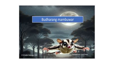 Story book 12 Budharang mambuwar story: Book