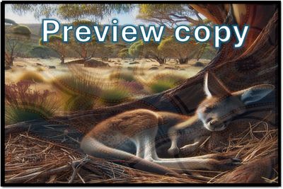 A3 Wambuwuny nguruwiy Laminated Print (story image) $9.95each