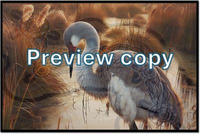 A3 Buralgang the wagadhaany Laminated Print (story image) $9.95each