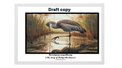 FP:  Burralgang the wagadhaany (story image 3) $49.95 each