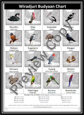 Chart 3 Budyaan (birds)
