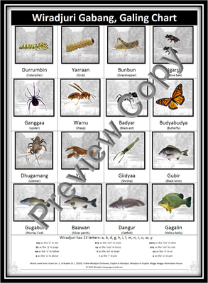 Chart 7 Gabang and Galing (Insects and fish) chart