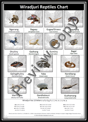 Chart 16 Wiradjuri Reptiles chart