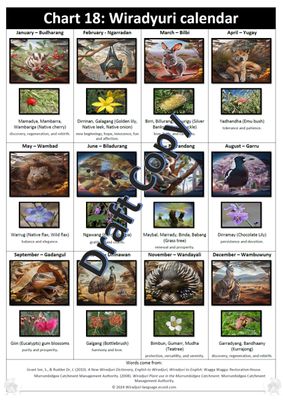 Chart 18: Wiradyuri calendar
