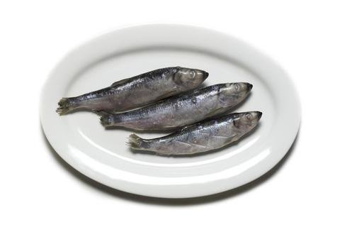 Herring Herring