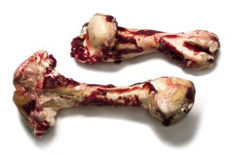 Dino Bones-BEEF Dino Bones-BEEF