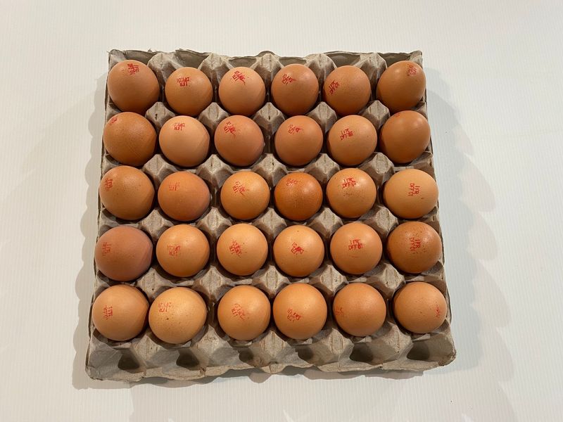 Plateau de 30 œufs plein air