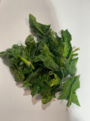 0.500 Kg d'épinards