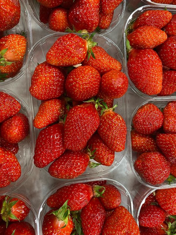 1 barquette de fraises (500g)