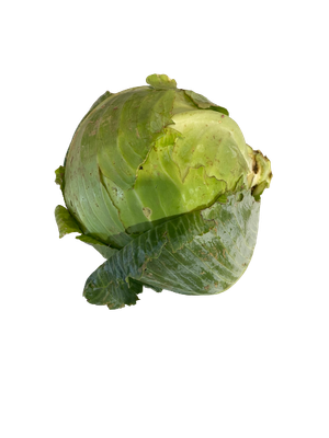 1 Chou vert