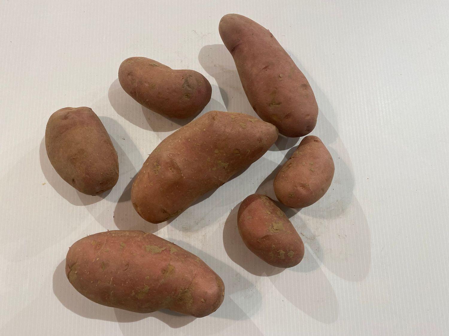 1 Kg de pomme de terre de consommation rouge « Manitou » 1 Kg de pomme de terre de consommation rouge « Manitou »