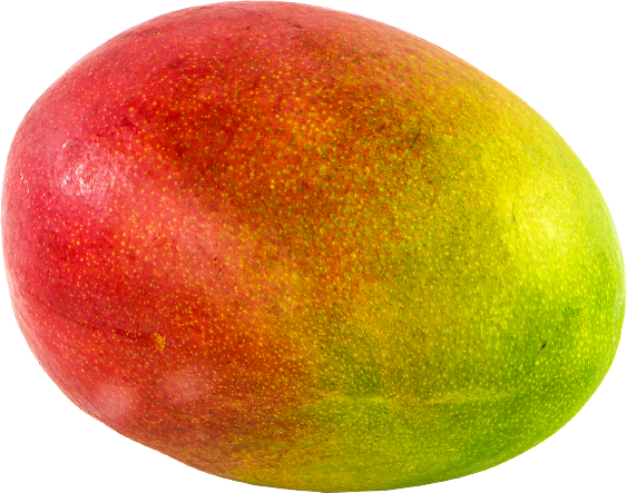 1 Mangue