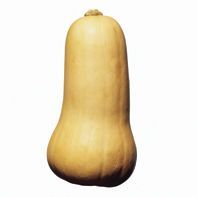1 Butternut