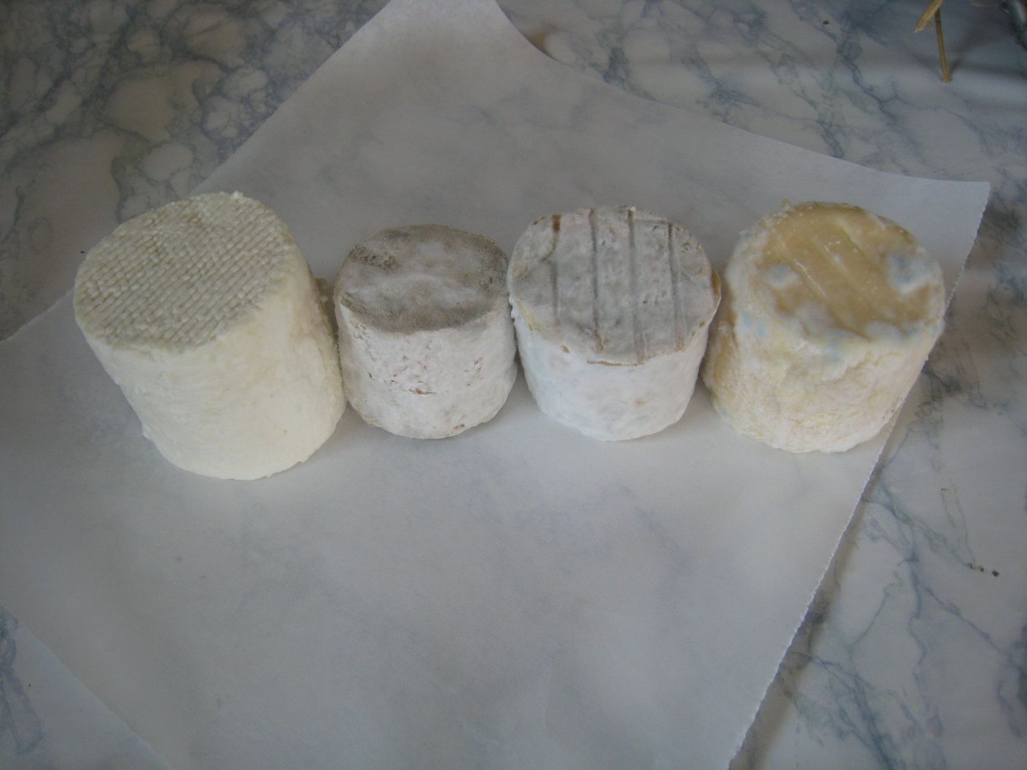 1 Fromage de chèvre DEMI SEC « Ferme de CHAUVRY (95) »