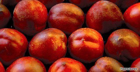 1 Kg de nectarine blanche