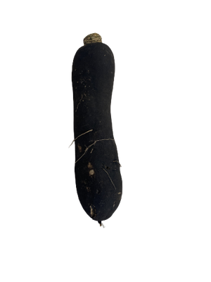 1 Radis noir