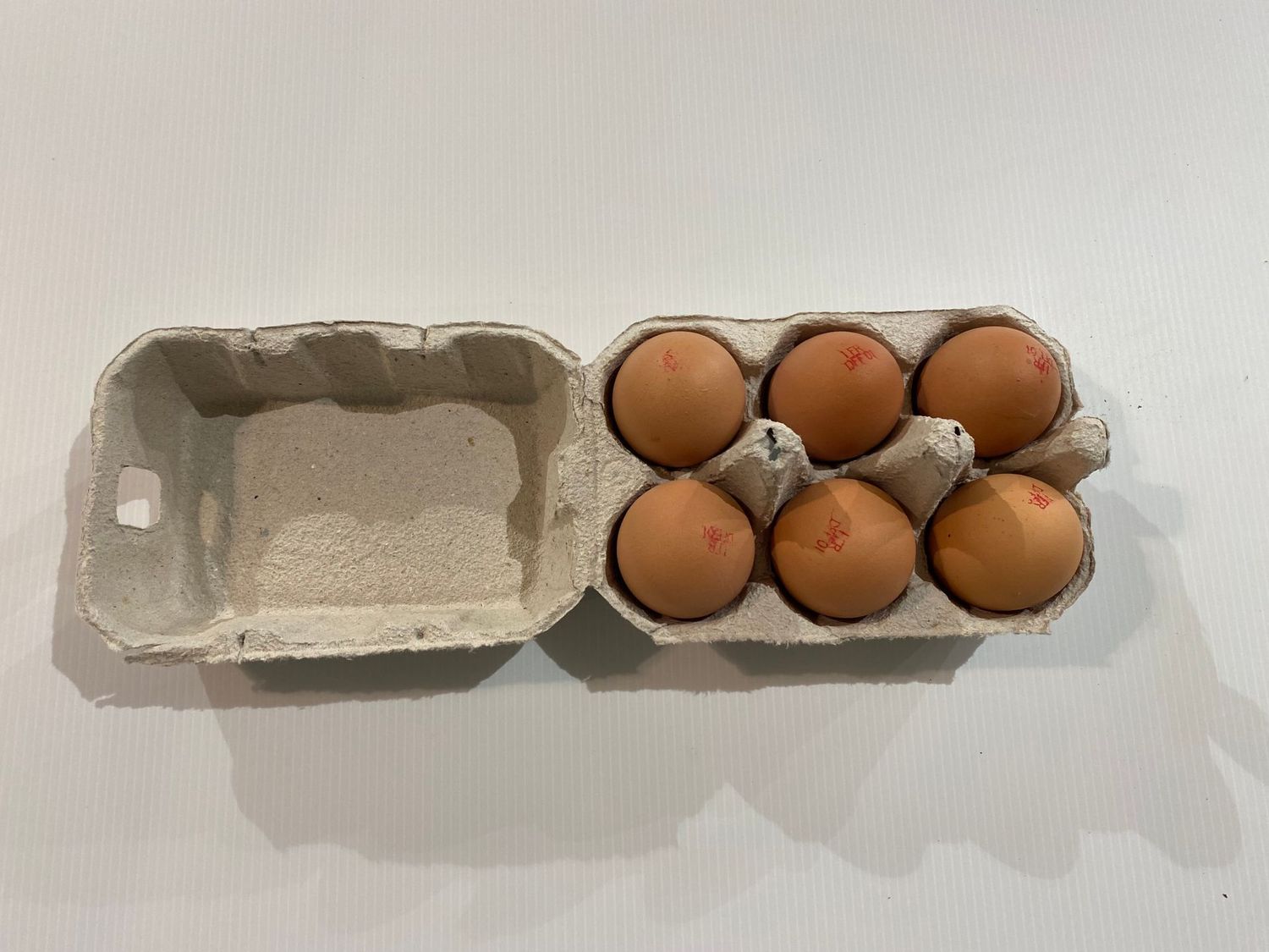 6 œufs plein air
