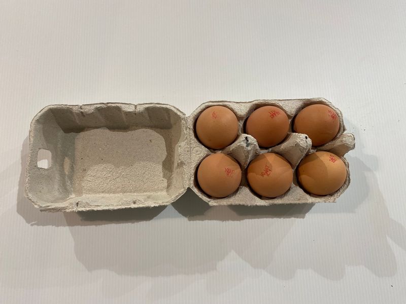 6 œufs plein air