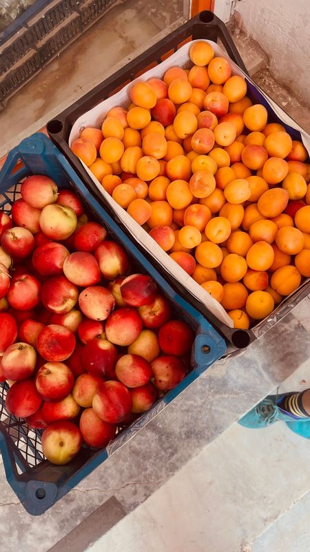 Mercredi 15 juillet 2026 de 17h00 à 19h00   Atelier Dessert Maison : Tatin Passion de Nectarines et Cœur d’Abricots