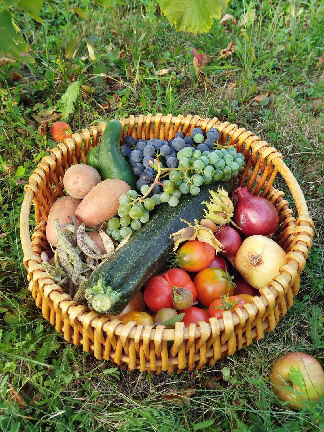 Samedi 29 août 2026 de 9h30 à 12h30  "Je cueille, je cuisine" un repas pour 2 personnes avec des légumes de saison