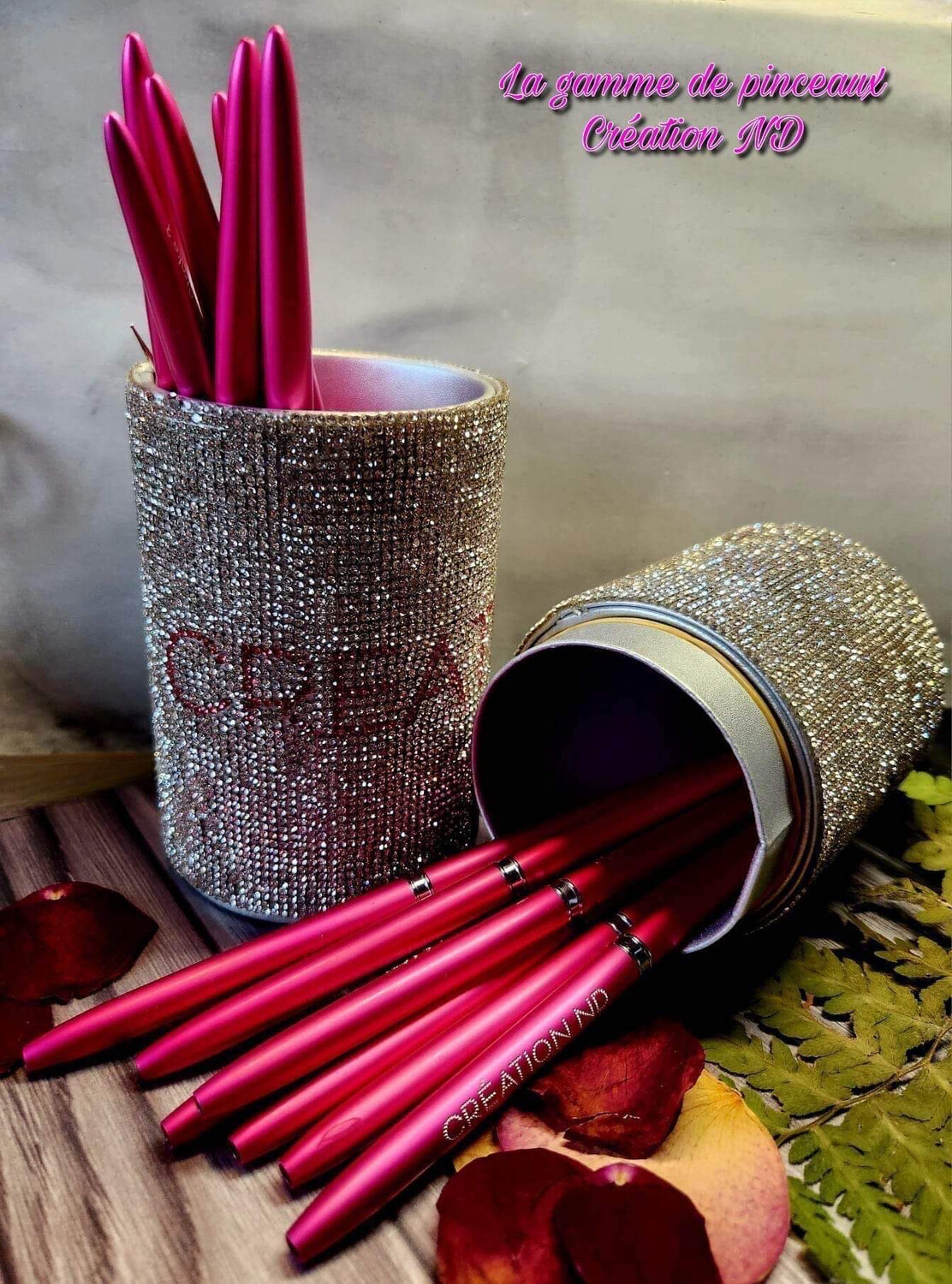 Collection complète de pinceaux nails art avec boîtier diamant 