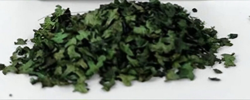Feuillage vert #5