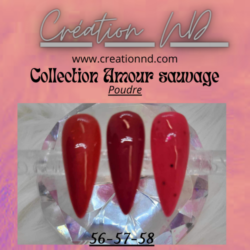 Amour sauvage
