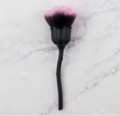 Pinceau époussette