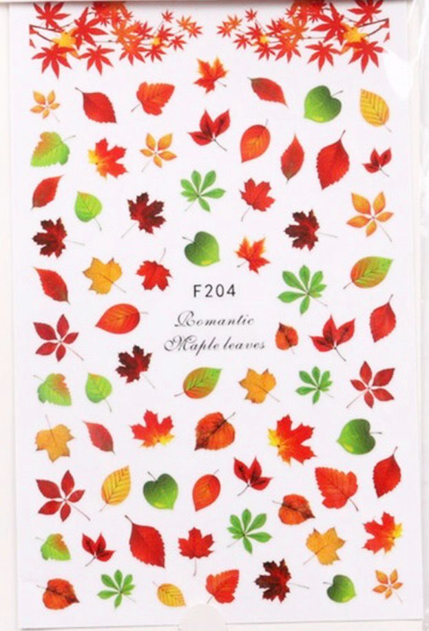 Feuille d’automne multicolore