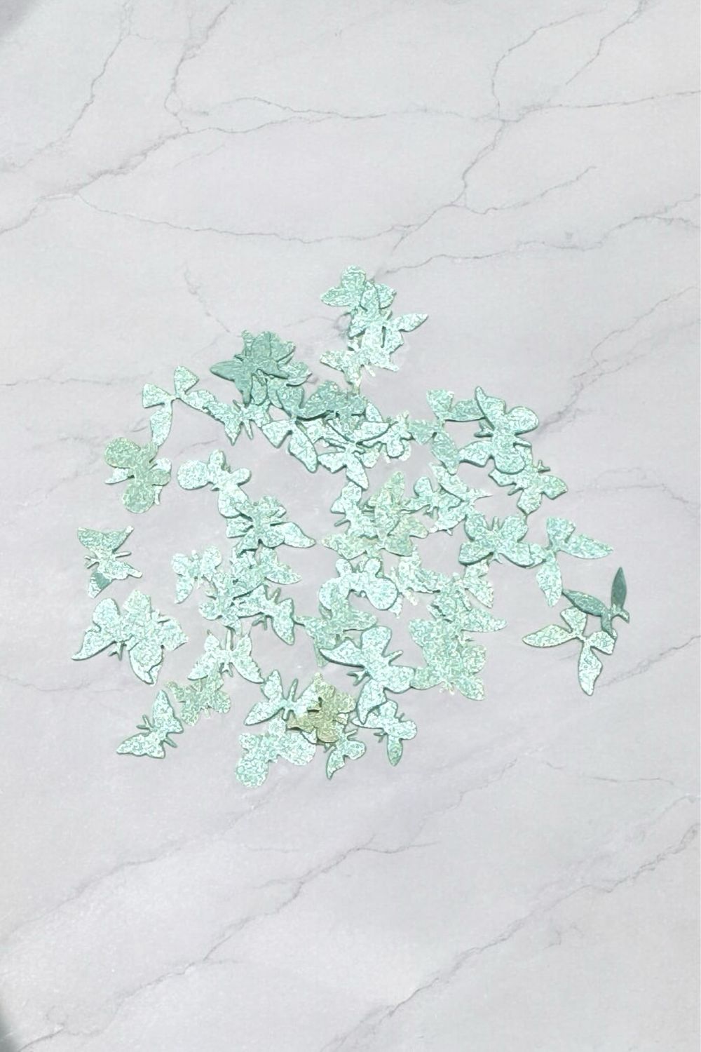 Papillon turquoise lustrer #5