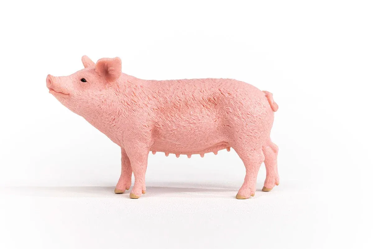 Schleich pig