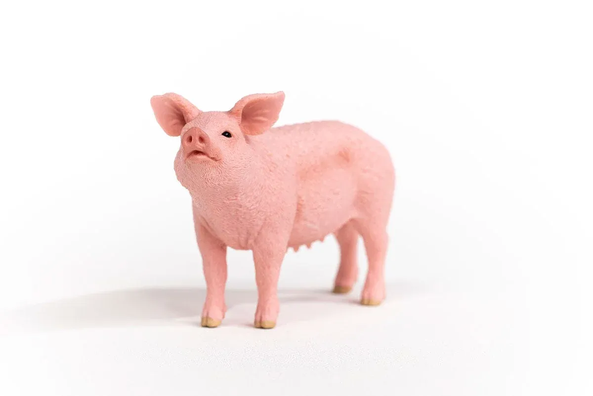 Schleich pig