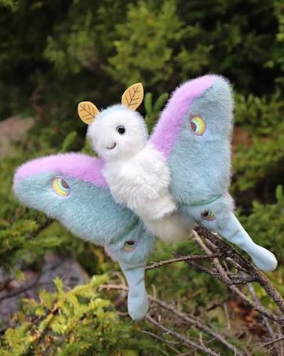 Juniper Lunar Moth