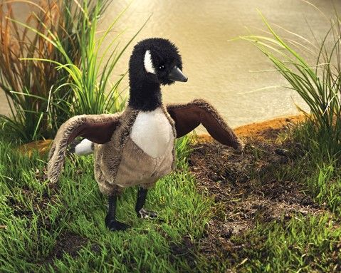 Folkmanis Canada Goose Puppet