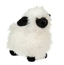 Shiloh Cream Lamb