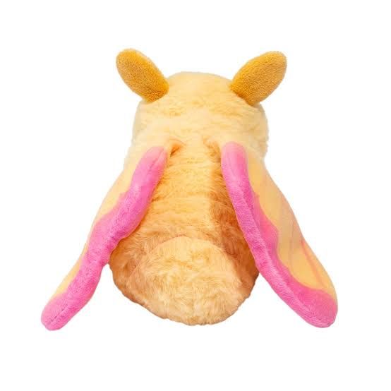 Rosy Maple Moth