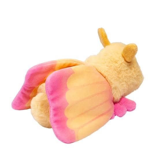 Rosy Maple Moth