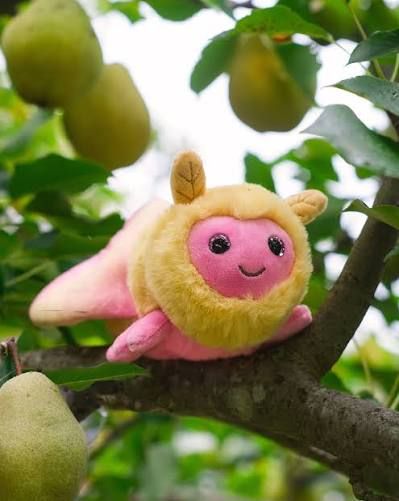 Rosy Maple Moth
