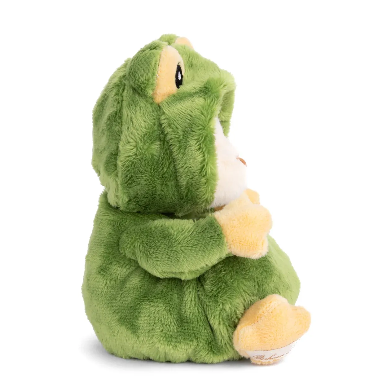 Ziggy Frog prince Charles