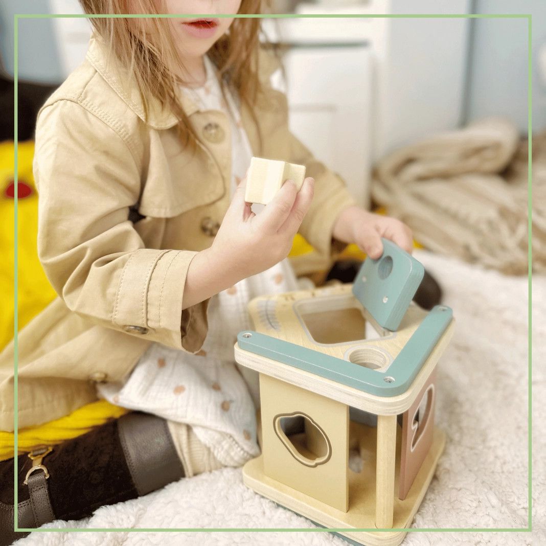 Wooden Shape Sorter &amp; Sensory Block Learning Toy