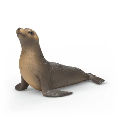 Sea lion