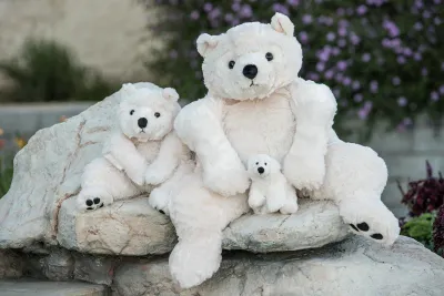 Antonius Polar Bear