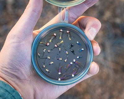 Guide Picked Euro Flies (12, 18 or 24)