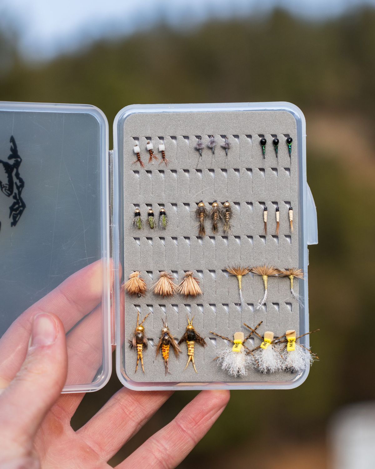 Guide Picked Flies (12, 18 or 24) Guide Picked Flies (12, 18 or 24)