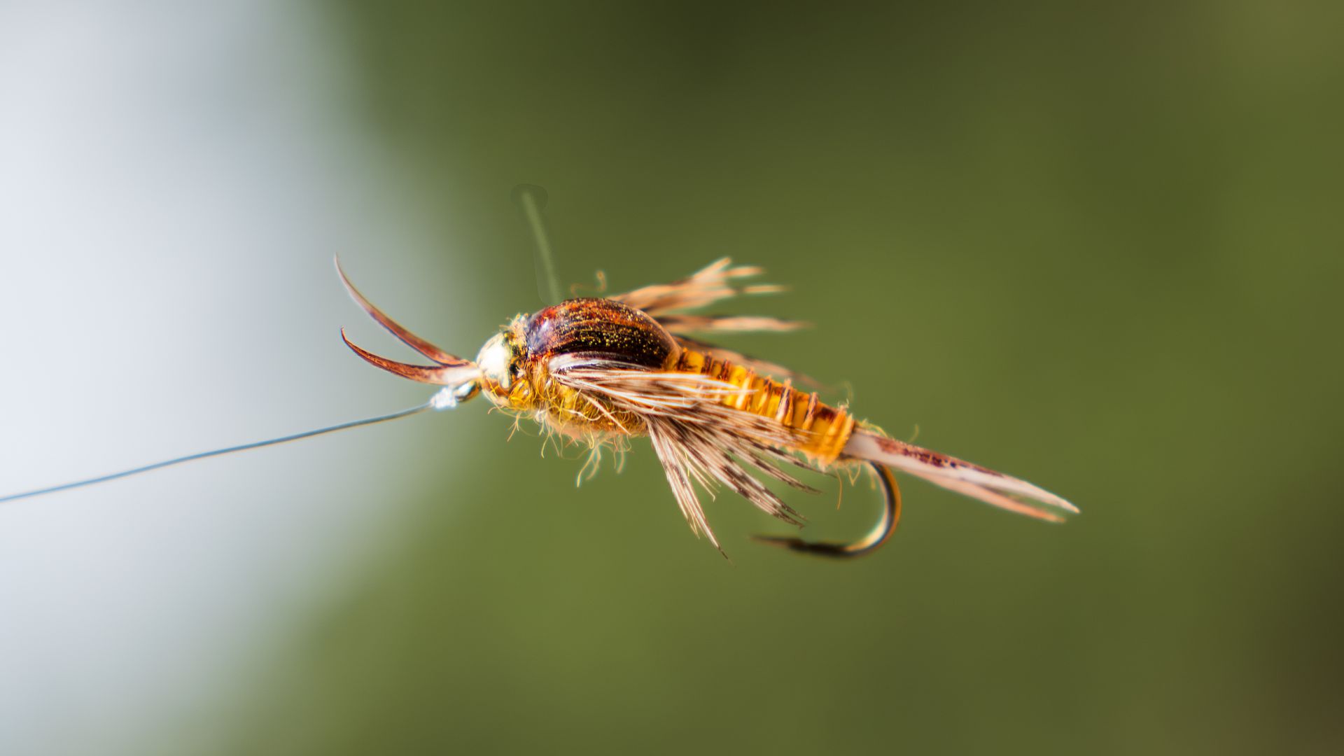 May 5 Flies (3 of each fly)