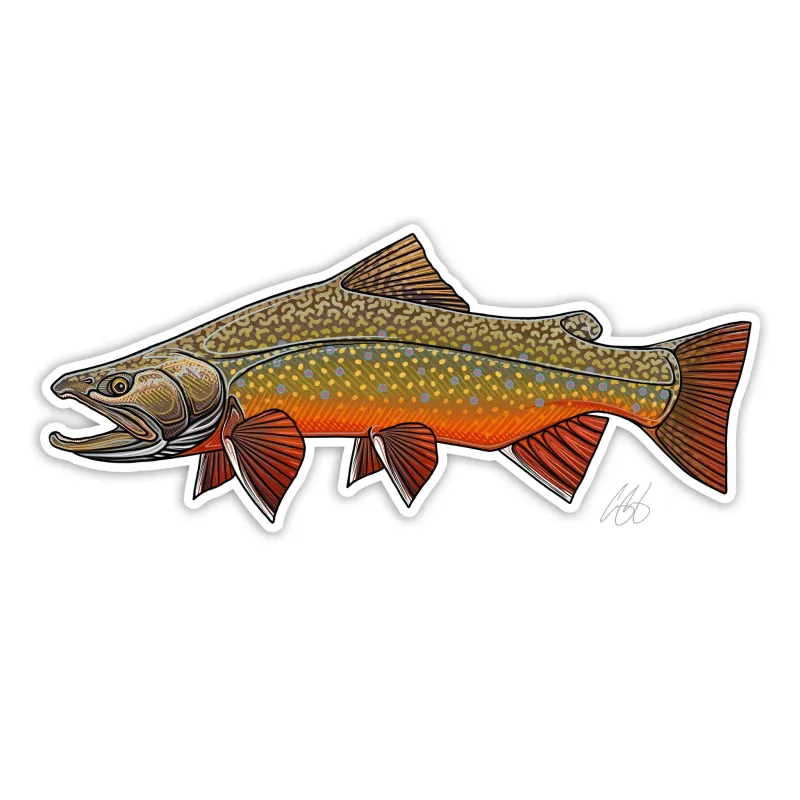 Brook Trout Decal - Casey Underwood
