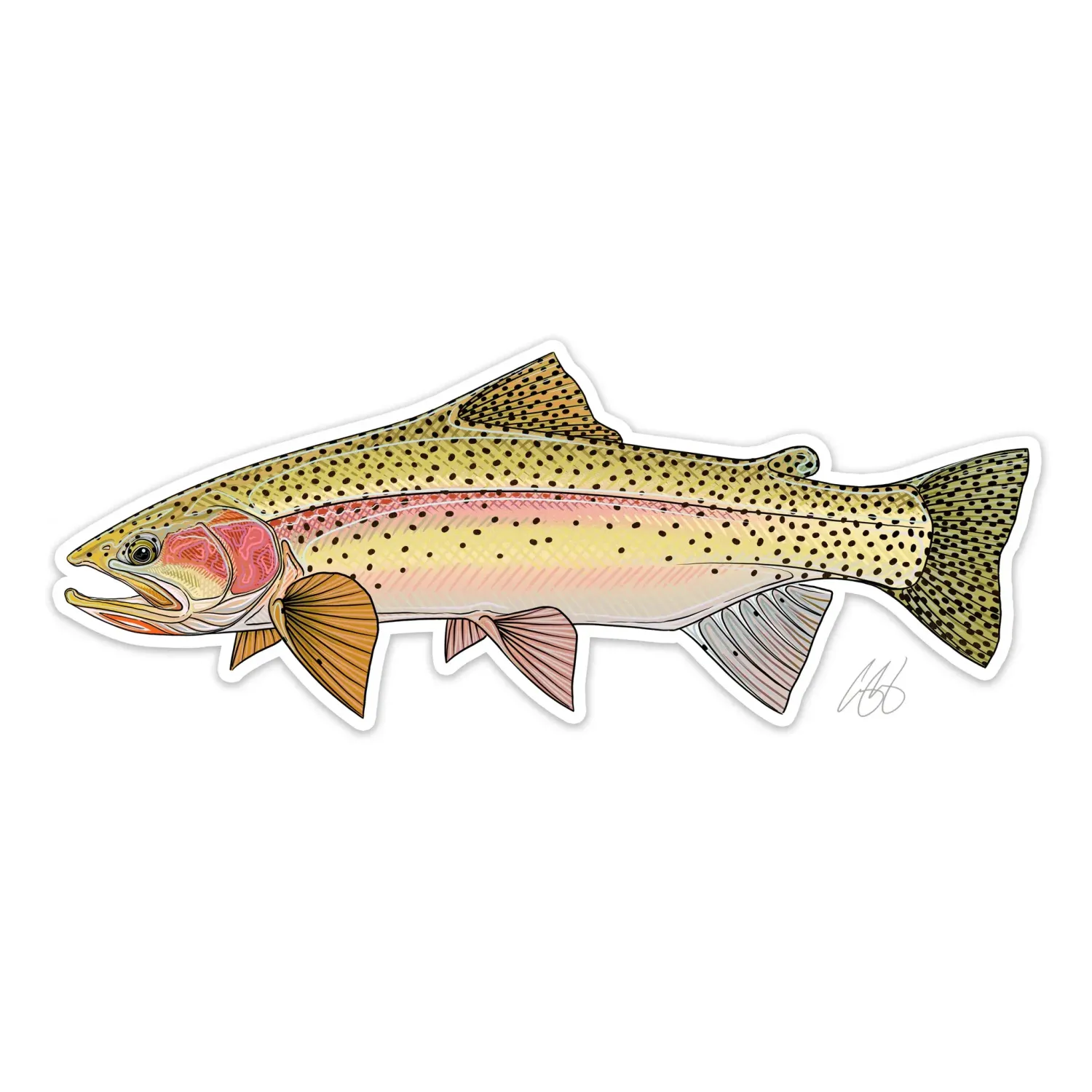 Cutbow Trout Decal - Casey Underwood
