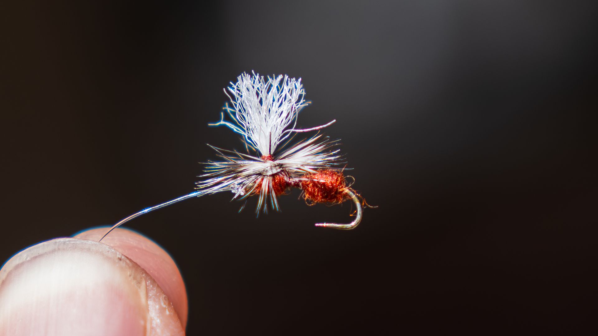 June 5 Flies - Creek Edition (3 of each fly)