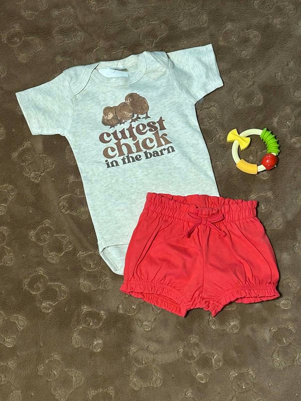 Cutest Chick In The Barn