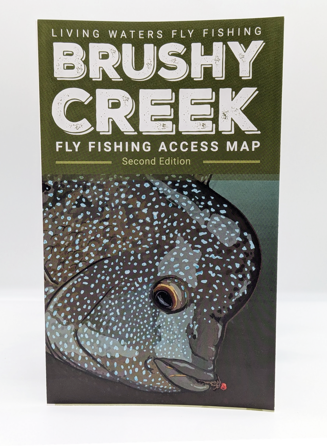 Brushy Creek Map